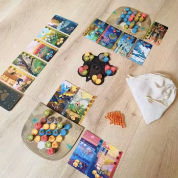 Animal Habitat Strategy Board Game